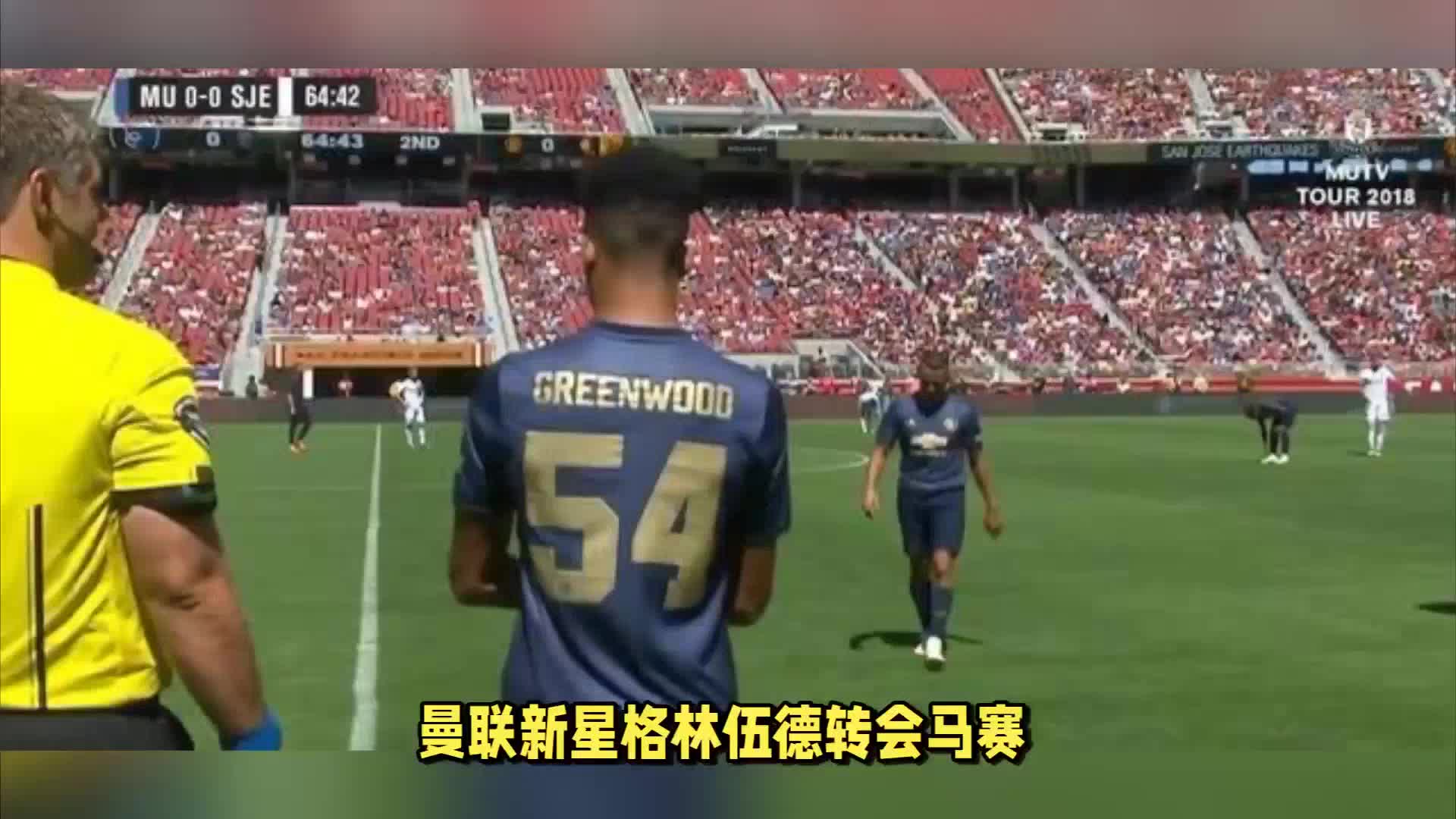 验案